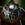 Ursa Major