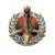 Class Fighter Champion Badge Icon.png
