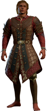 Ring Mail Armour +1 High Elf Front