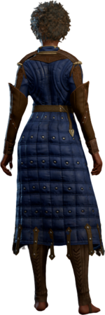 Padded Armour +2 B Human Back