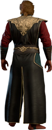 Robe of Exquisite Focus Half-Elf Back